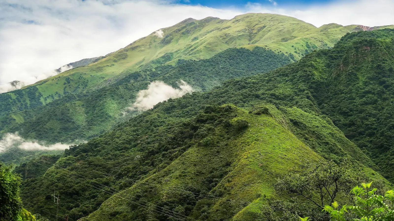 Nurturing hands or nature